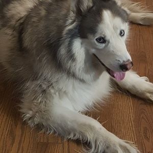 Meet your Posher, Michele